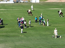 56.Friday Polo69