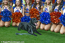 2024 Fiesta Bowl