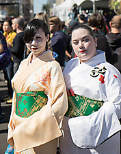 34th Annual Matsuri Festival