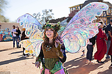 35th Annual Arizona Renaissance Festival Opening Weekend 