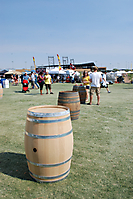 AZBBQ43