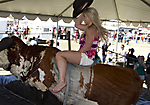 IMG_6481 LR