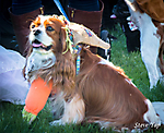 IMG_9825