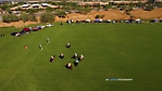 Polo_DJI_07