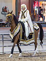 60th Annual Scottsdale Arabian Horse Show