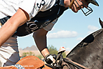 19 IMG_6820 LR LR