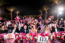 Bob and Dawn Davis Photography and Design_Auction