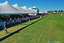 Scottsdale Polo (27)