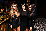  	 Face of Foothills Finale and Holiday Bash (IV)