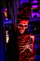 0001_IMG_2448-2
