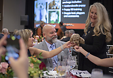 Admiring adorable goldendoodle up for auction