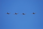 aerospace-and-arizona-days-tucson-2010_41