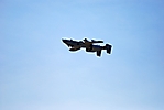 aerospace-and-arizona-days-tucson-2010_54