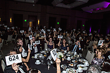 Group 1 AZFW 2023 GalaAFW 2023 Gala (529 of 322)pictures in pixels-standard