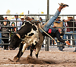 IMG_0442 LR