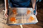 american_harvest_phoenix_launch-006