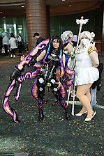 IMG_6305