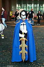 AK1A0208