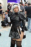 IMG_0494