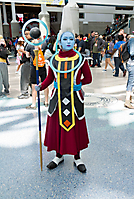 IMG_0843