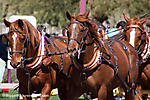 12 IMG_9621 LR