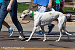 15 IMG_9638 LR