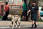 IMG_9558 LR