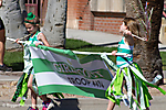 IMG_9597 LR