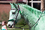 IMG_9604 LR