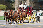 IMG_9620 LR