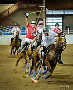 Arena Polo at Barrett-Jackson - Townsend Cup (III)