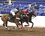 Arena Polo at Barrett Jackson - Sherman Cup Finals