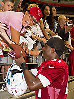 Arizona Cardinals Training Camp