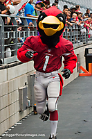 Arizona Cardinals Training Camp