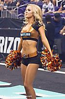 Arizona Rattlers