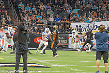 IMG_7988-SAI-Focus