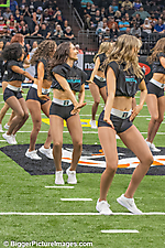 IMG_8625