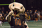 12 J IMG_3549 LR LR