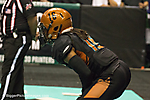 44 J IMG_3065 LR LR