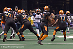J IMG_3019 LR LR