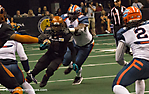J IMG_3181 LR LR