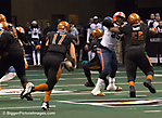 J IMG_3660 LR LR