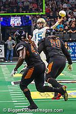 Arizona Rattlers Lose The Big One