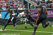 22 IMG_0593-SAI-Motion