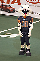 IMG_1231 LR