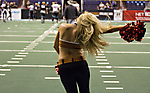 IMG_9305 LR