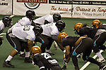 IMG_9402 LR