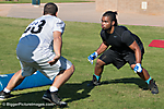 Arizona Rattlers Tryouts