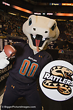 Arizona Rattlers Undefeated!