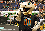 IMG_6135 LR LR